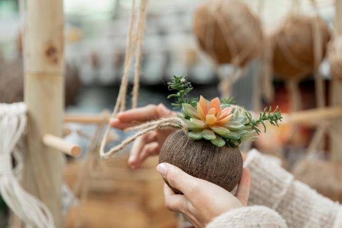 Boîte avec des Plantes Intégrées